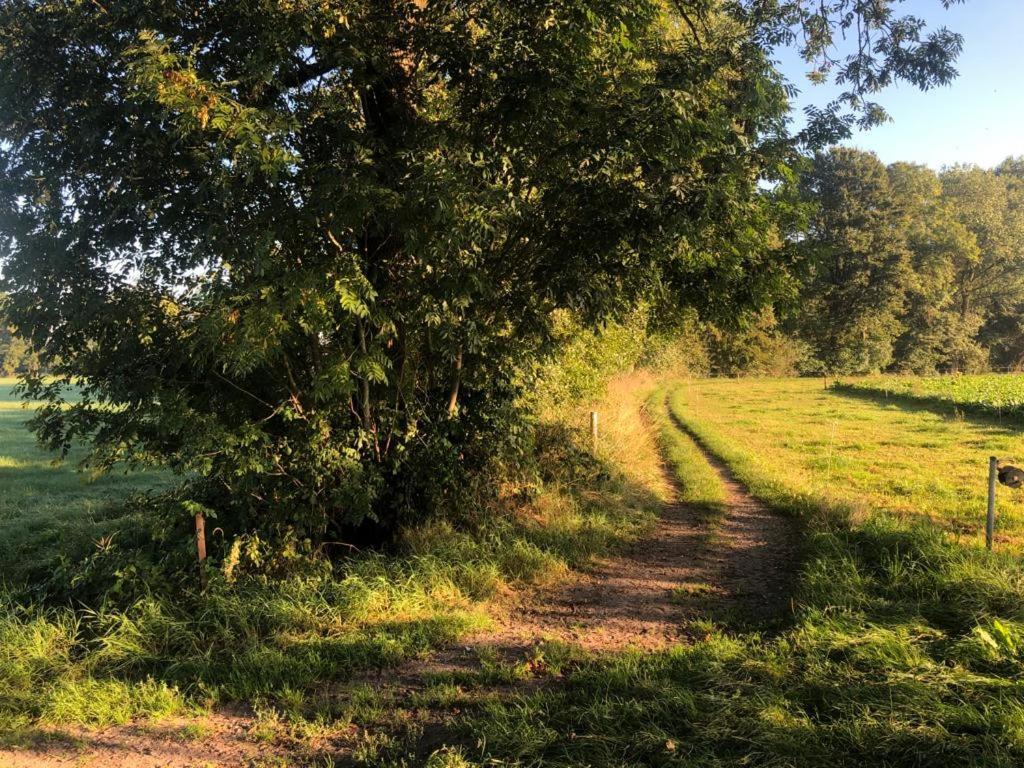 De VechtHet Zwaluwnest住宿加早餐旅馆 外观 照片